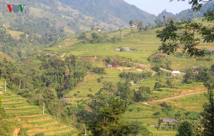 Terraced paddy fields in Tung San Commune - ảnh 9